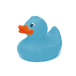 Blue duck squad