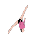 Pink Roses Gymnastics