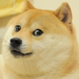 Doge Obby! (NOT FINISHED!)