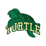turtle team power
