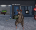 Krokoott