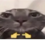 User uWu daddy