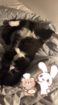 4Rebby