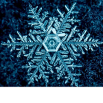Crystal Clan!!