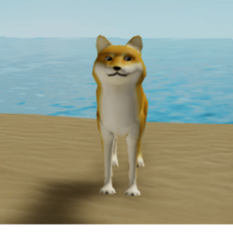 Doge Docks