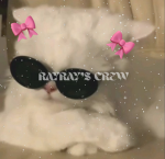 RAYRAY'S CREW