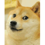 댕갈로스 부족