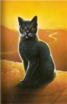 Feline Army