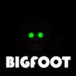 BigFoot Asoceation