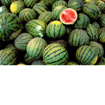 lightning melons
