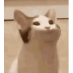 I dont know why i have this