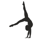 Gymnastics Crew
