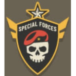 davids special forces