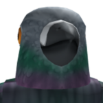The 2nd Pigeons United