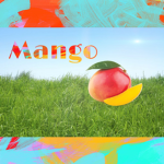 Official Mango Clothing