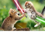 CAT NOTION