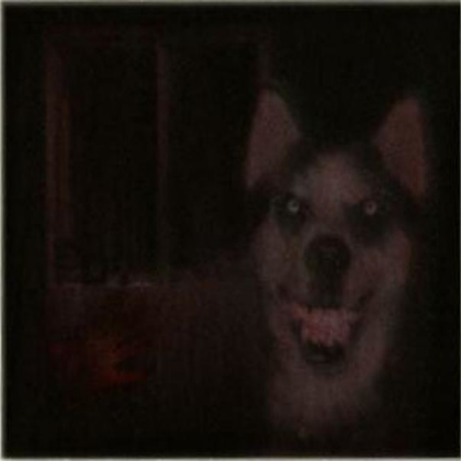 Smile Dog Roblox decal