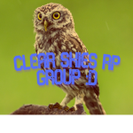 Clear Skies RP group :D