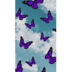 $butterflys$
