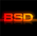 B.S.D Blue Steel Dominaters