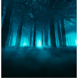 Ghost Forest