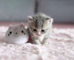 besties hangout !! :D