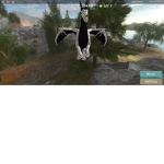E-xore