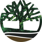 Timberland™