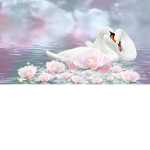 Safe place place