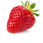Strawberry Hawks