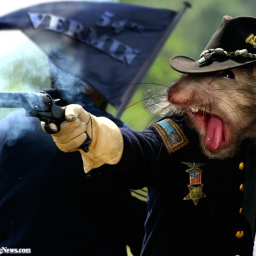 Rats United [Special Forces]'s Spy Training Center