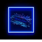 waush's gang