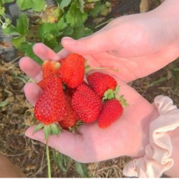 𝗽𝗮𝘁𝗰𝗵!🍓◞˚｡୭ :