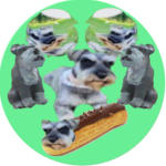 Da Schnauzers