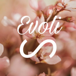 Evoli Homeᔕtore