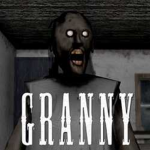 Granny Army