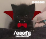 /oso fg