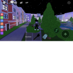 26xviibes