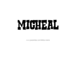 Micheal Group