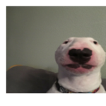 goodgrwoll
