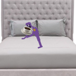 Teddy's frogs