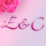 Exotic Clothing | E&C