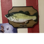 Big mouth billy boa
