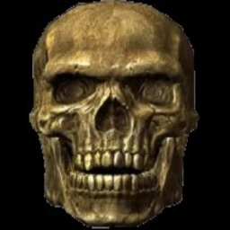 The skeleton appears