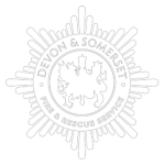 DSFRS