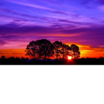 The Sunset Loves