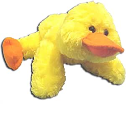pee ducks rally