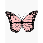 The pink butterfly homestore