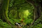 Jungle Just Because