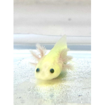 We are Axolotls